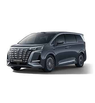 2025款合乐HL8D9